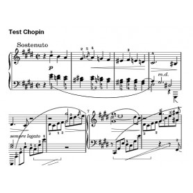 LargePrintMusic Software LargePrintMusic